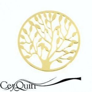 24-0481-my-imenso-insignia-cover-24-mm-silber-gelb-vergoldet