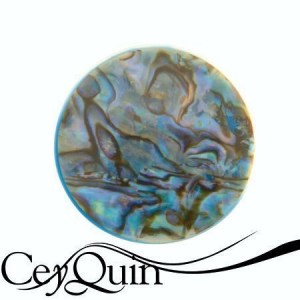 27-561-my-imenso-insignia-shell-perlmutt-bunt-33mm1