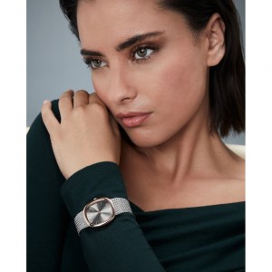 Reloj-Viceroy-401312-17-3