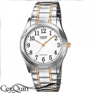 casio-3