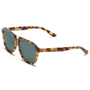 gold-gafas-de-sol-skull-rider-stephen-james-2