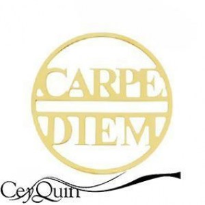 insignia-cover-gold-330682-my-imenso