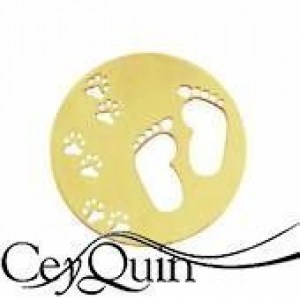 insignia-cover-gold-330704-my-imenso