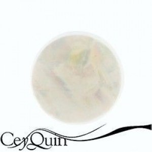 insignia-my-imenso-24-0563