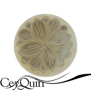 insignia-my-imenso-33-05328