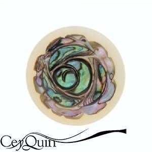 insignia-shell-my-imenso-33-0531