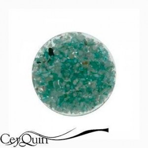 insignia-shell-my-imenso-33-05451