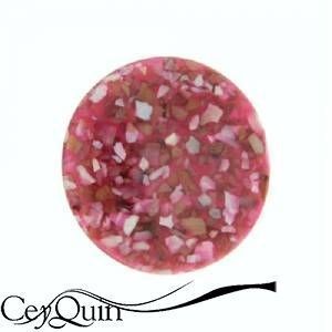 insignia-shell-my-imenso-33-08591