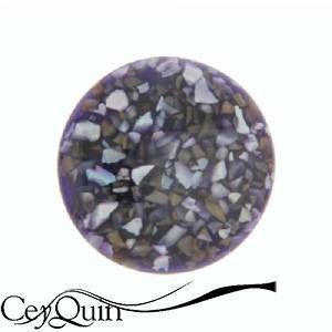 insignia-shell-my-imenso-33-0861