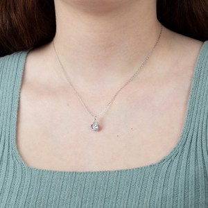 lotus-silver-moments-lp3106-1-1-2