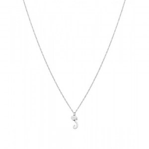 Mr.Wonderfull WJ20004