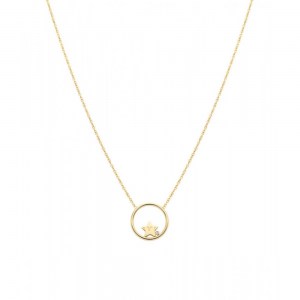 Mr.Wonderfull WJ20110