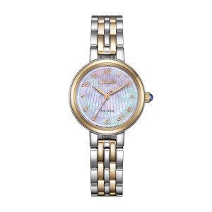 Reloj Citizen EM0996-84Y
