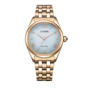 Reloj Citizen EM1143-81X