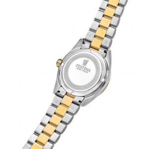 reloj-festina-classic-steel-f20085-a-5