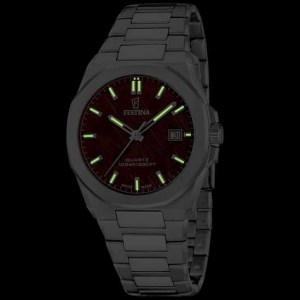reloj-festina-classic-steel-f20100-3-2