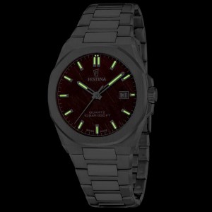 reloj-festina-classic-steel-f20100-3-7